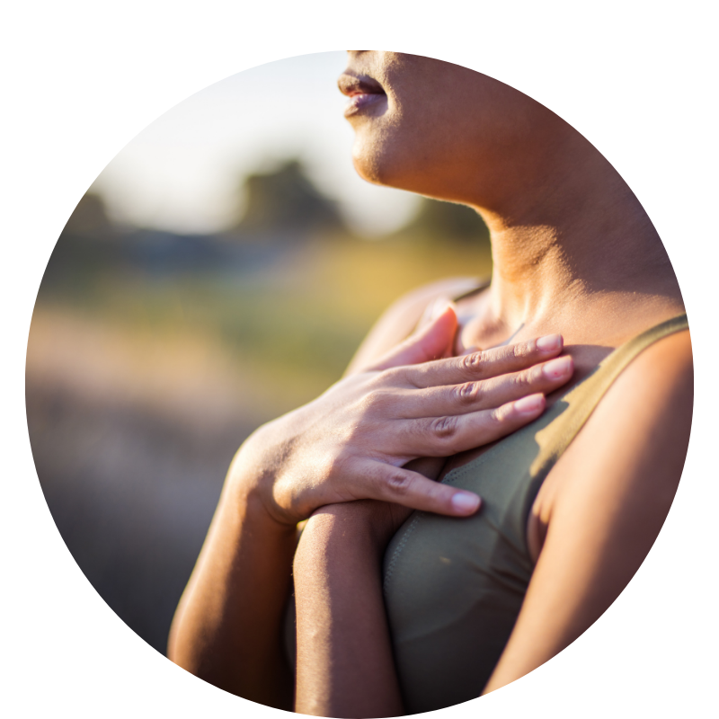 regulation des emotions